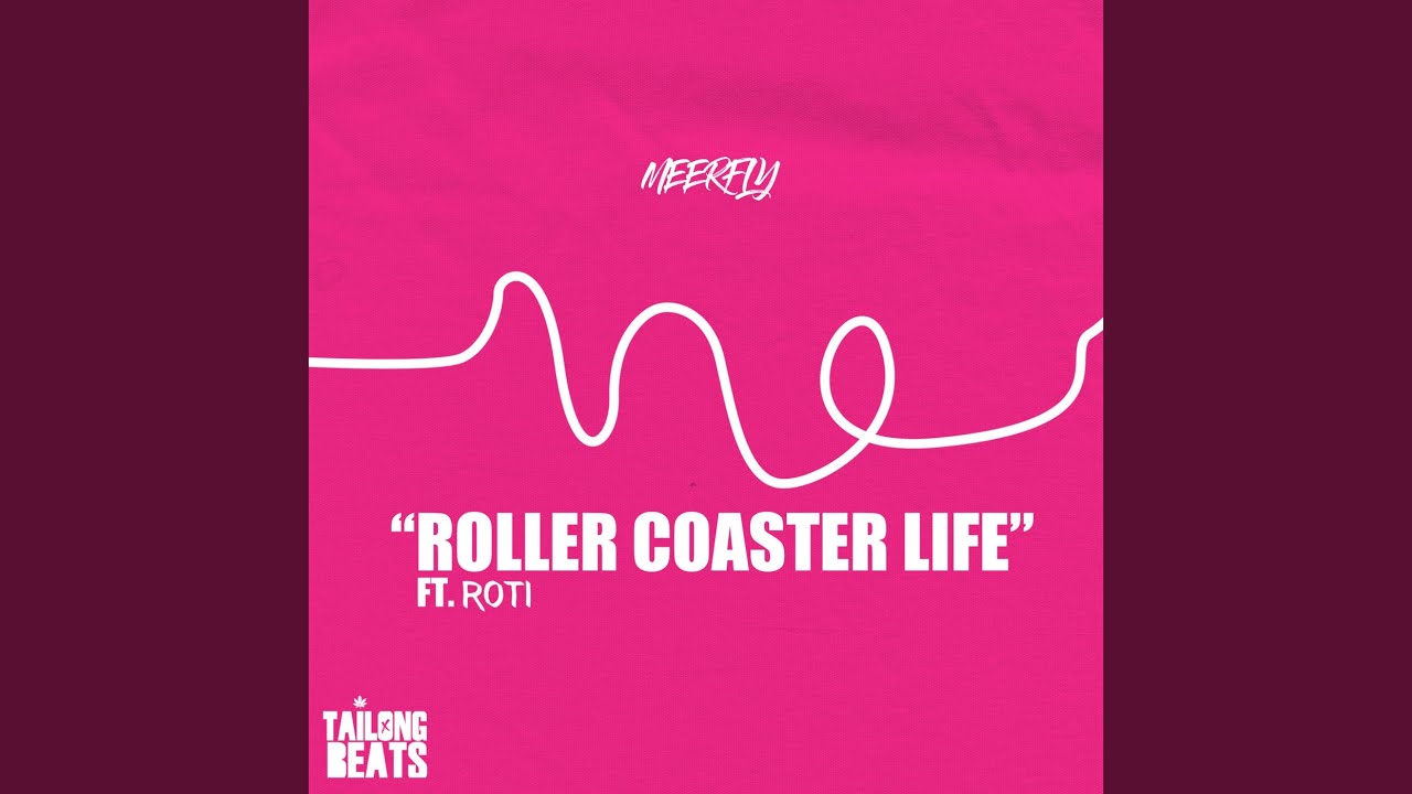 Roller Coaster Life