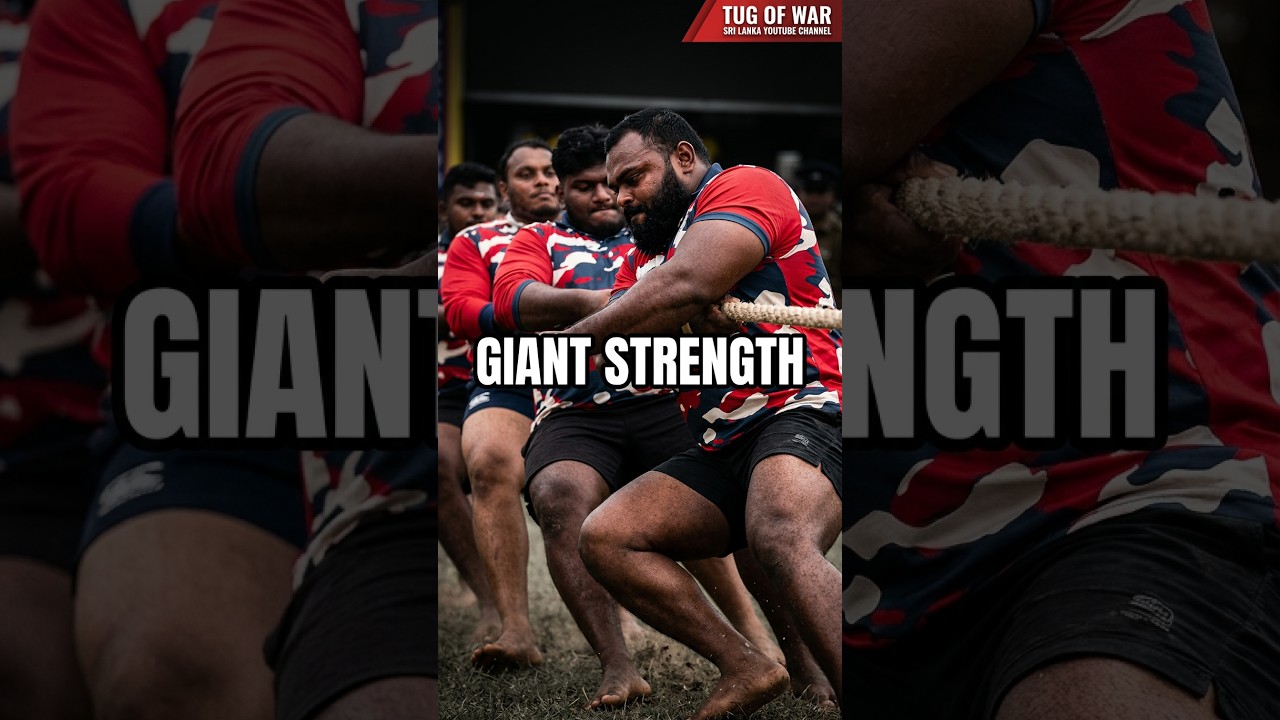 Giants Playing Tug of War 💪 Is This Real Power?  💪💥 #shorts #tugofwar #viralvideo