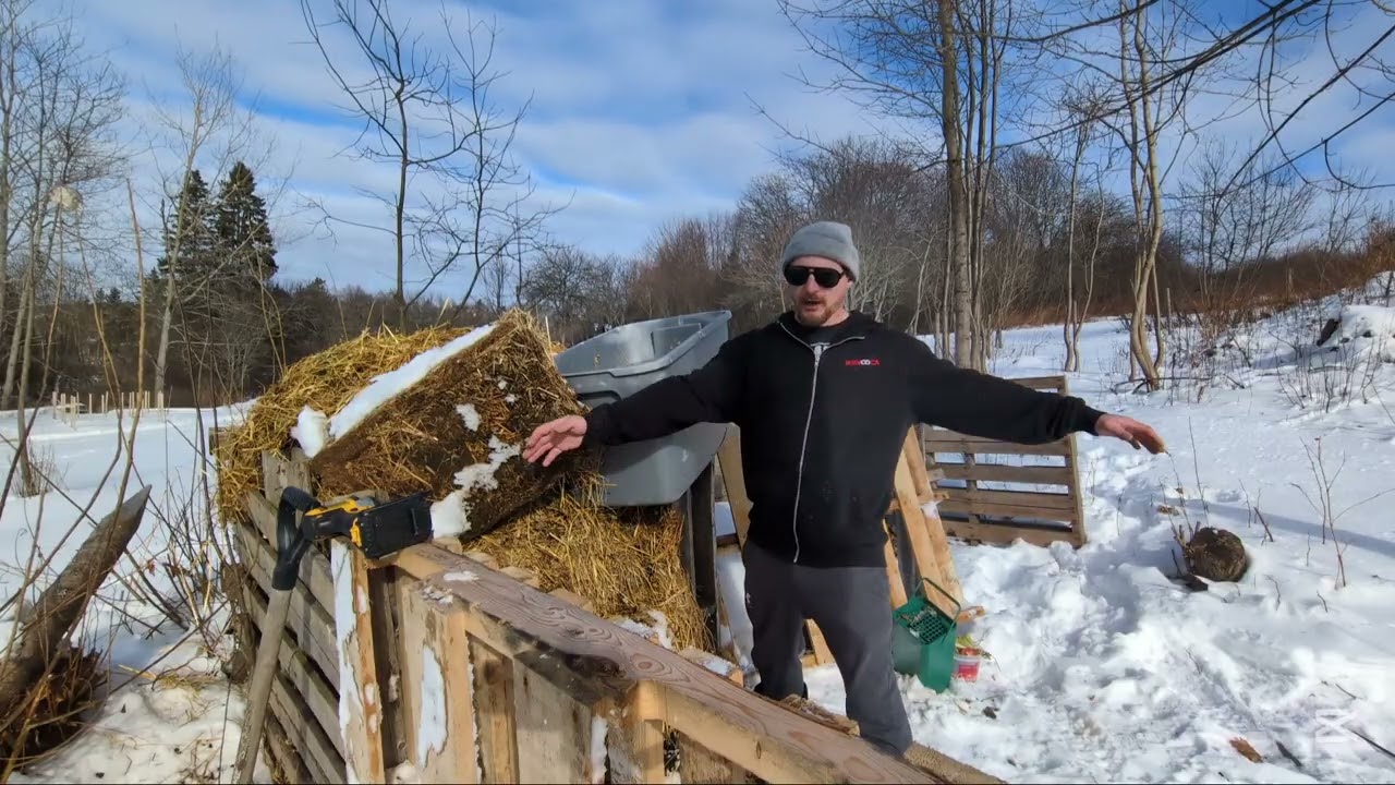 How to start a 3 bin compost system for free. 