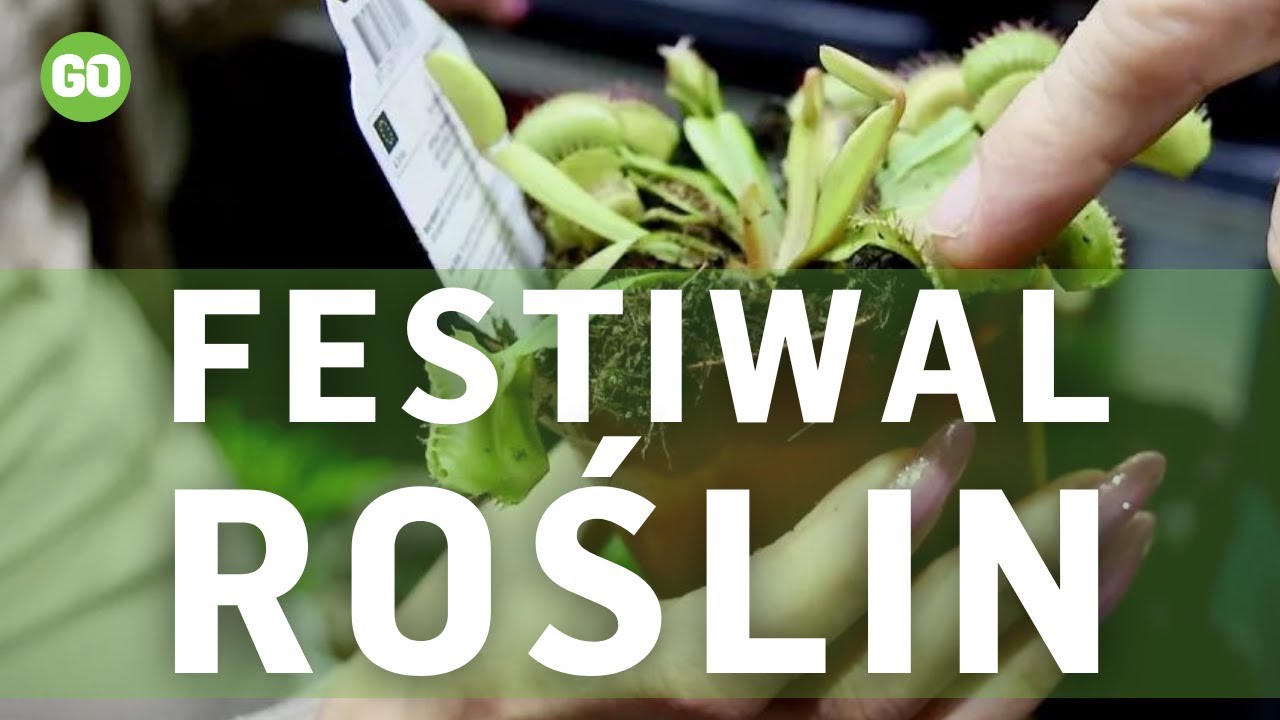 Festiwal Roślin w Olsztynie - kortowska hala sportowa zmieniła się w zieloną wyspę