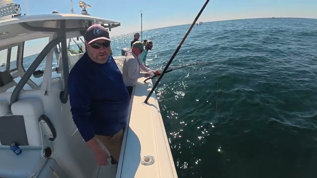 Just Like a Walleye