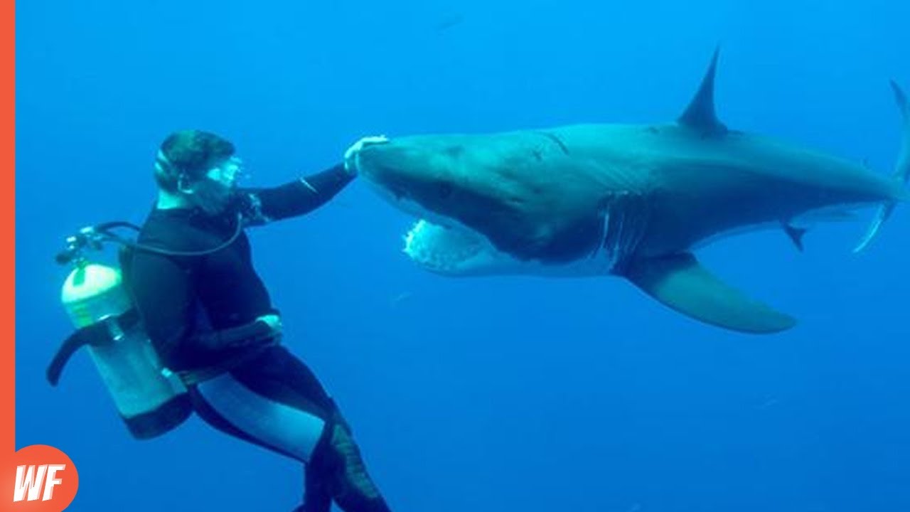 Scary and Unbelievable Moments Filmed at Sea