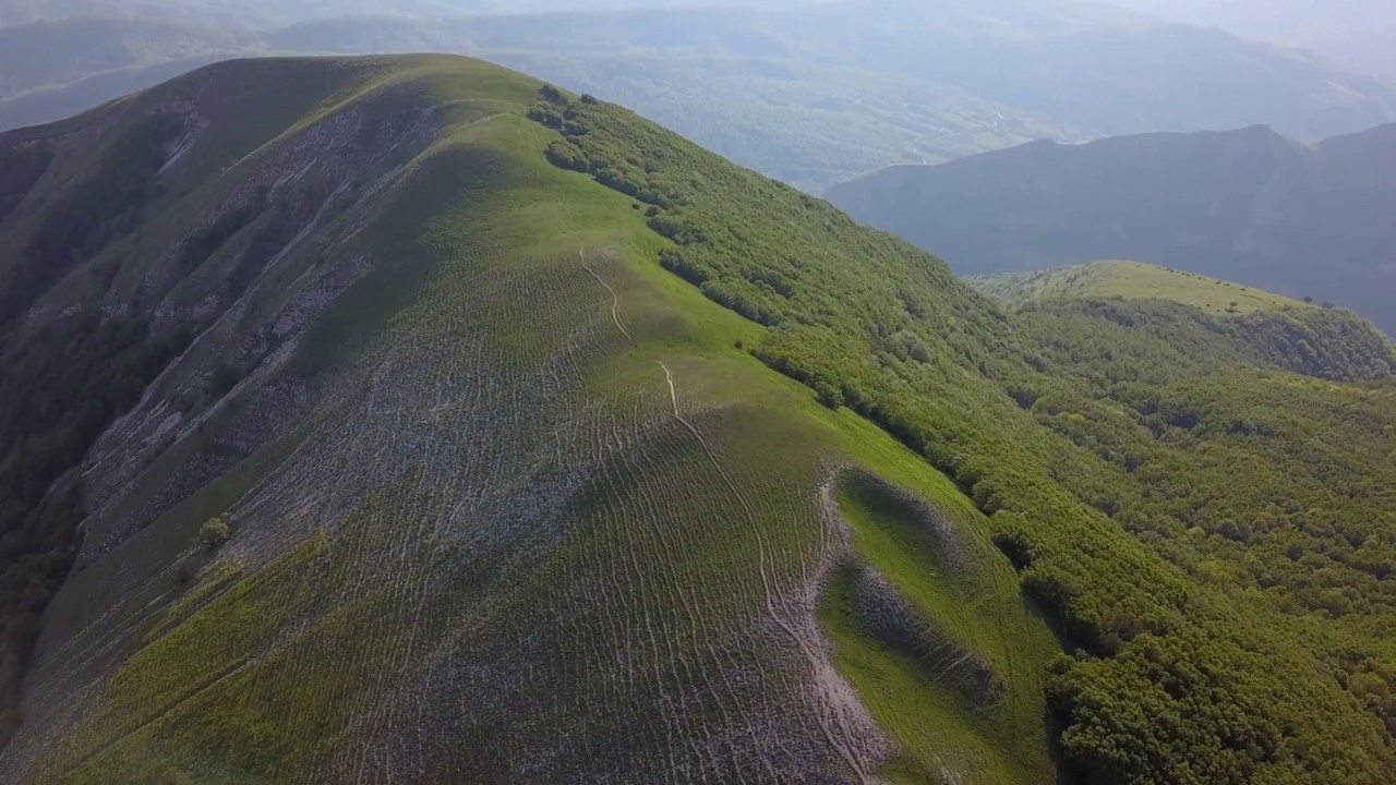 Cavalli al pascolo sul Monte Nerone (PU) 4K