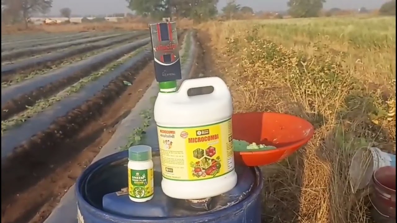 Kharbuja 🌱 part no5. 