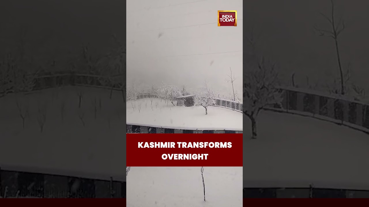 Snow Blankets Gulmarg Again | Jammu & Kashmir Sees Winter Rush | 