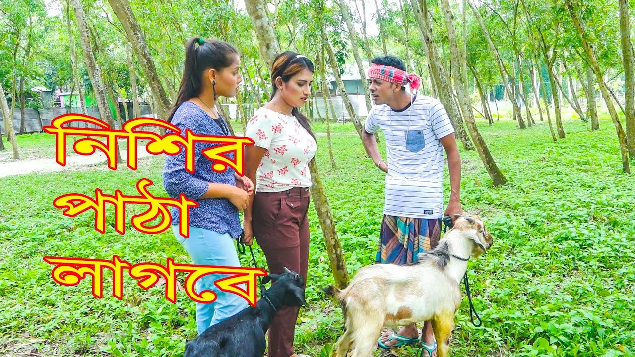 নিশির পাঠা লাগবে | Entertainment | Funny Video | Funny Alomgir24