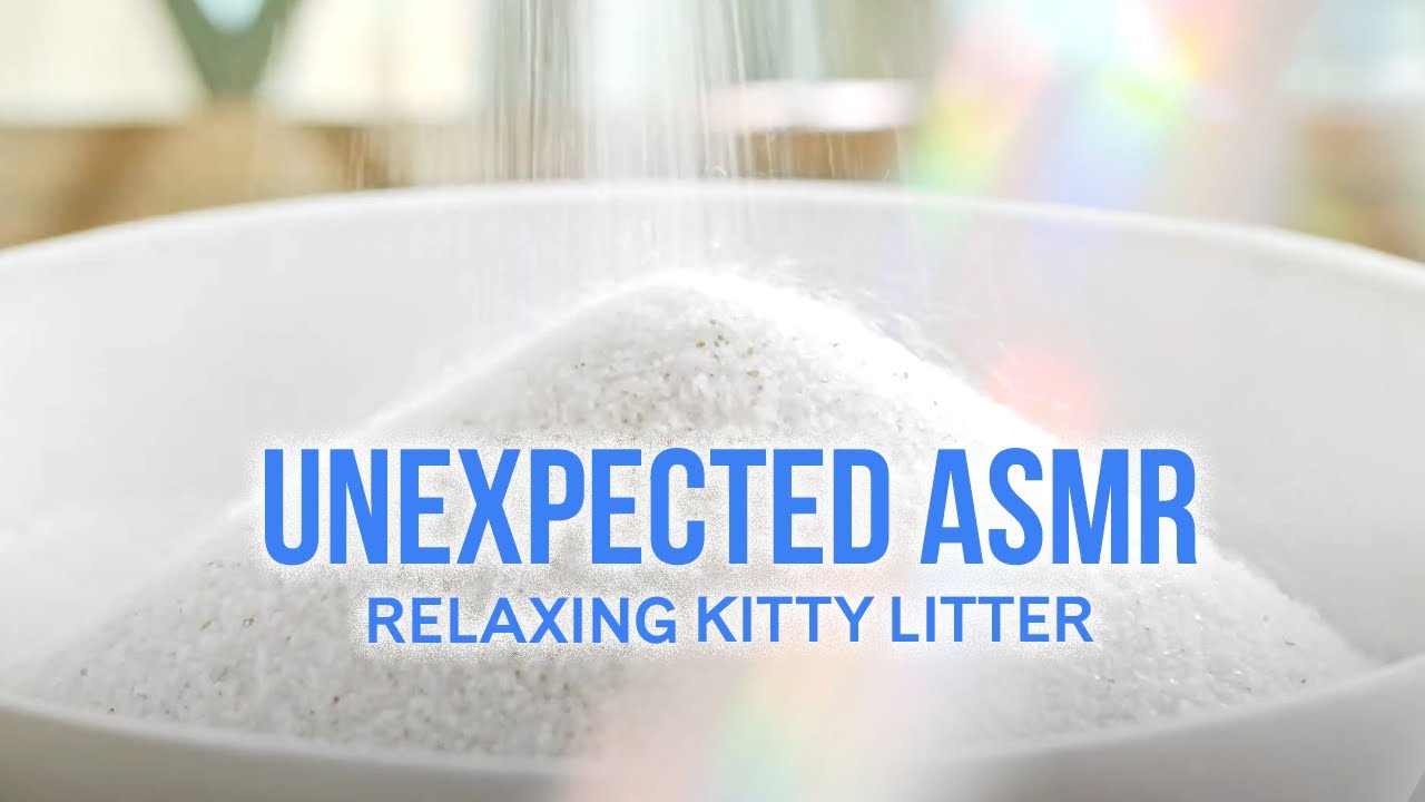 Unexpected ASMR for Cat Lovers