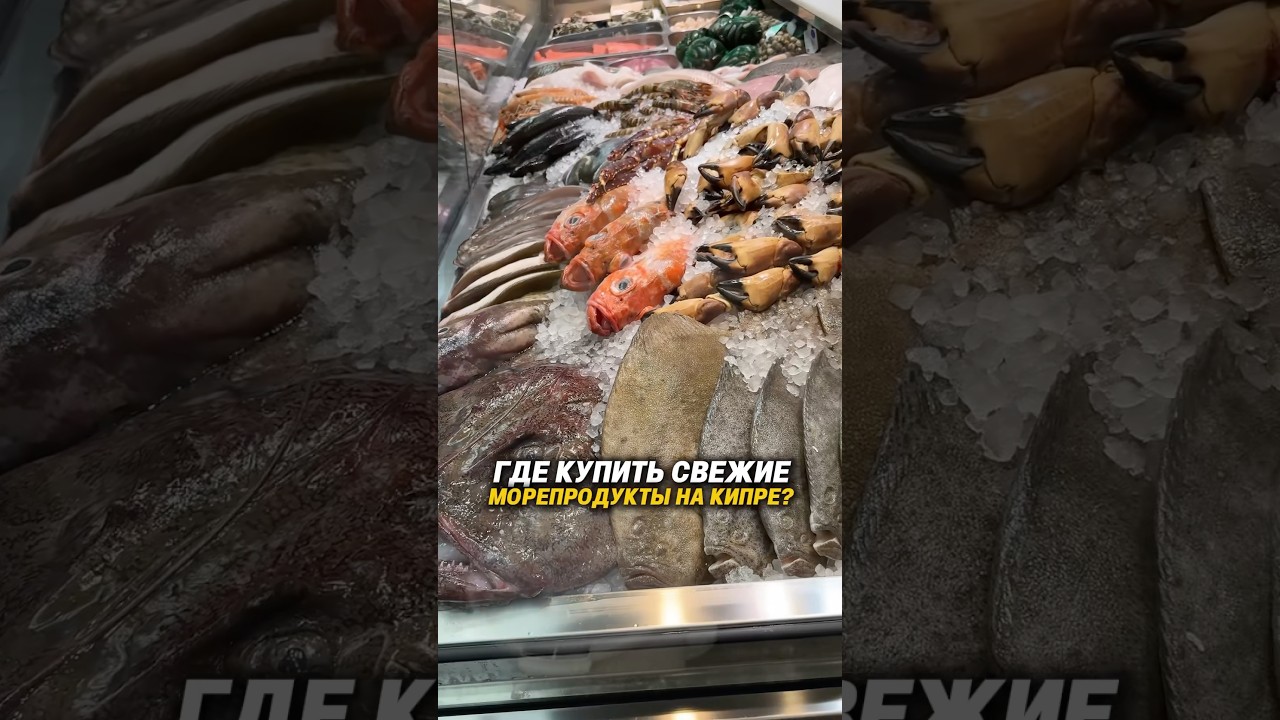 ГДЕ КУПИТЬ СВЕЖИЕ МОРЕПРОДУКТЫ НА КИПРЕ? #кипр #лимасол #жизньнакипре #блогокипре #кипрэкскурсии