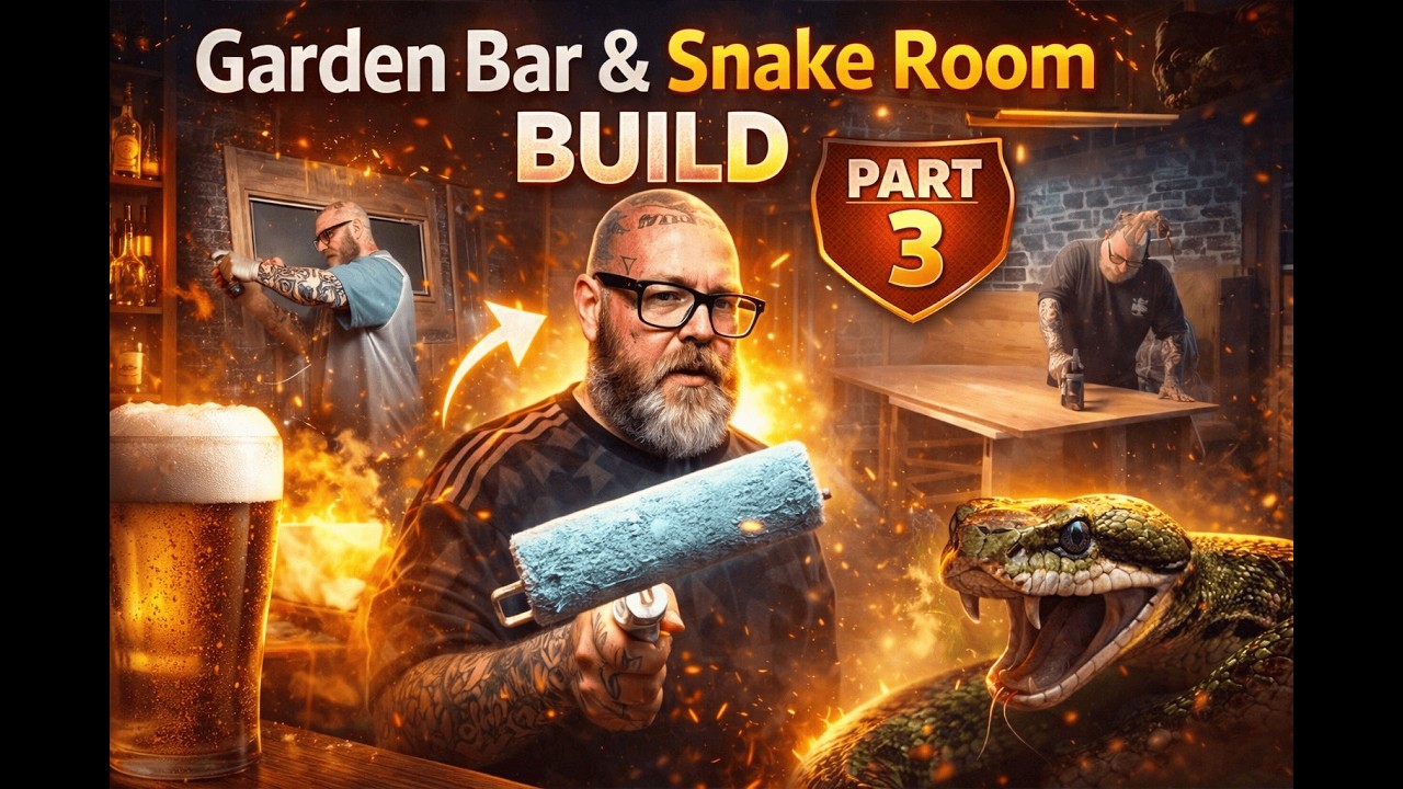 Garden Bar & Snake Room Build PART 3 – It’s Finally Taking Shape