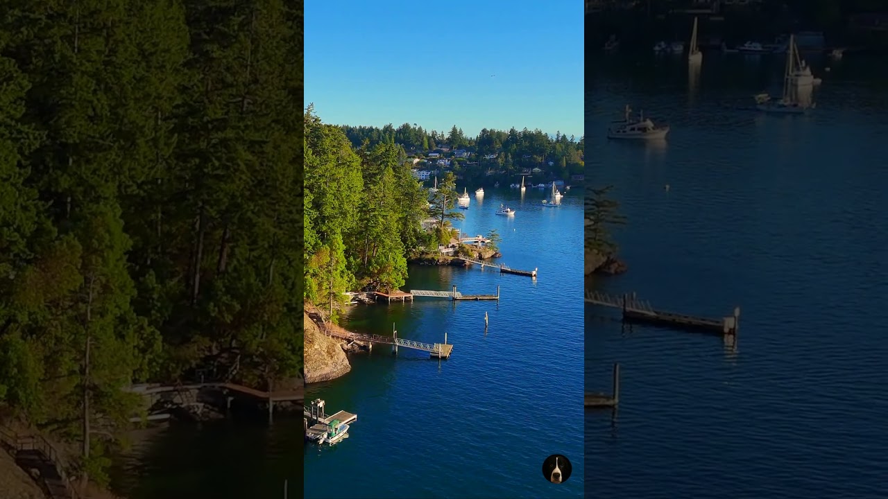 Brown Island Shoreline 🌊 View from Friday Harbor | DJI Mini 4