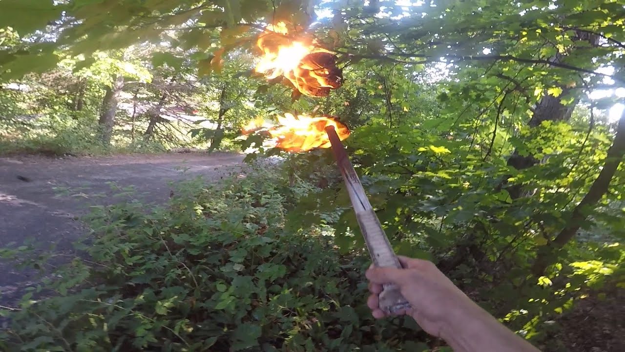 Burning a massive paper wasp nest! How to remove hornets with fire and gasoline! Funny What&rsquo;s inside