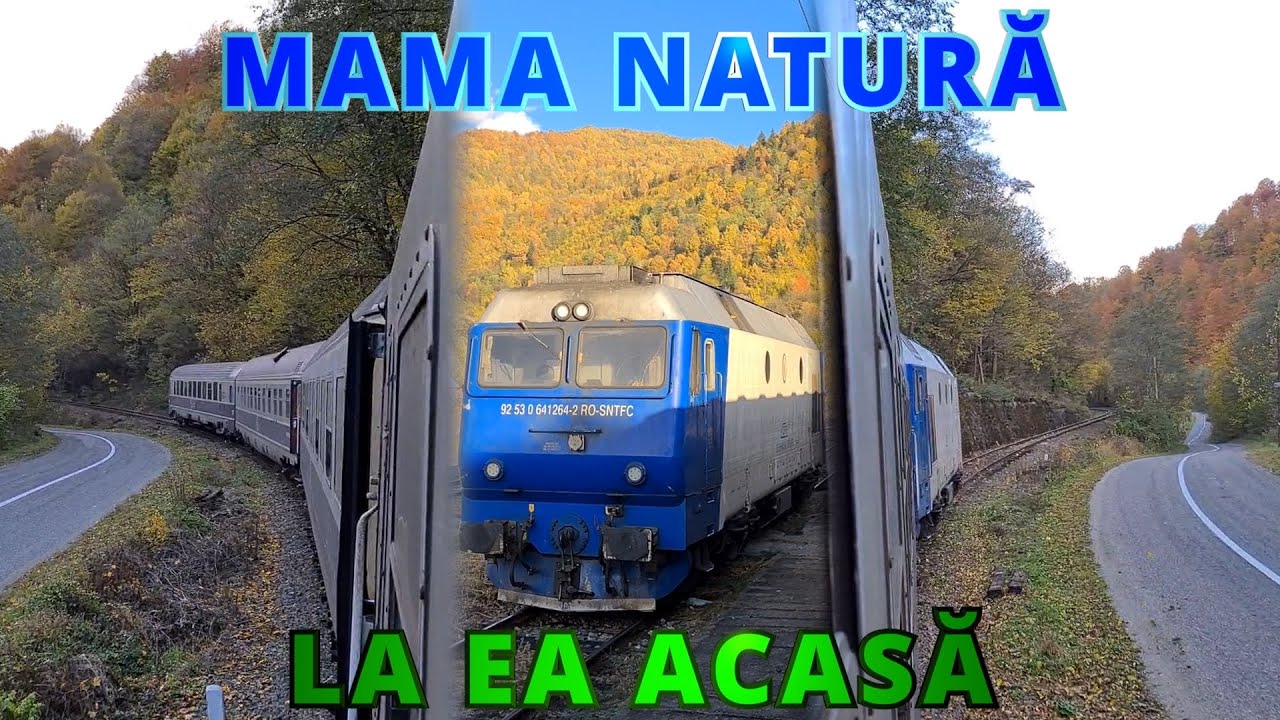 VALEA VISEULUI-LEORDINA | Calatorie Sighetu Marmatiei-Salva, tren cu vagoane