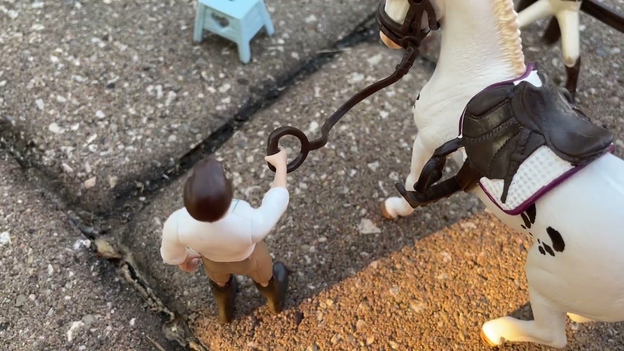 The Wild Horse Part. 2 | ~ Horse Camp ~ | an Original Schleich film