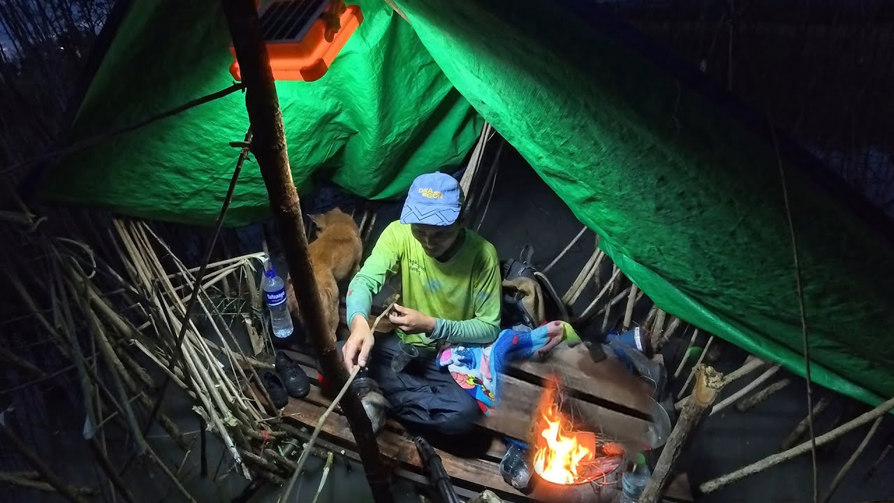 One Night  Survival on the Water in rice field | Overnight Camping with My Dog It So Cool!