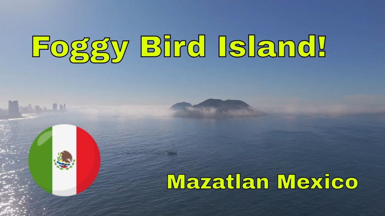 Flight to Foggy Bird Island