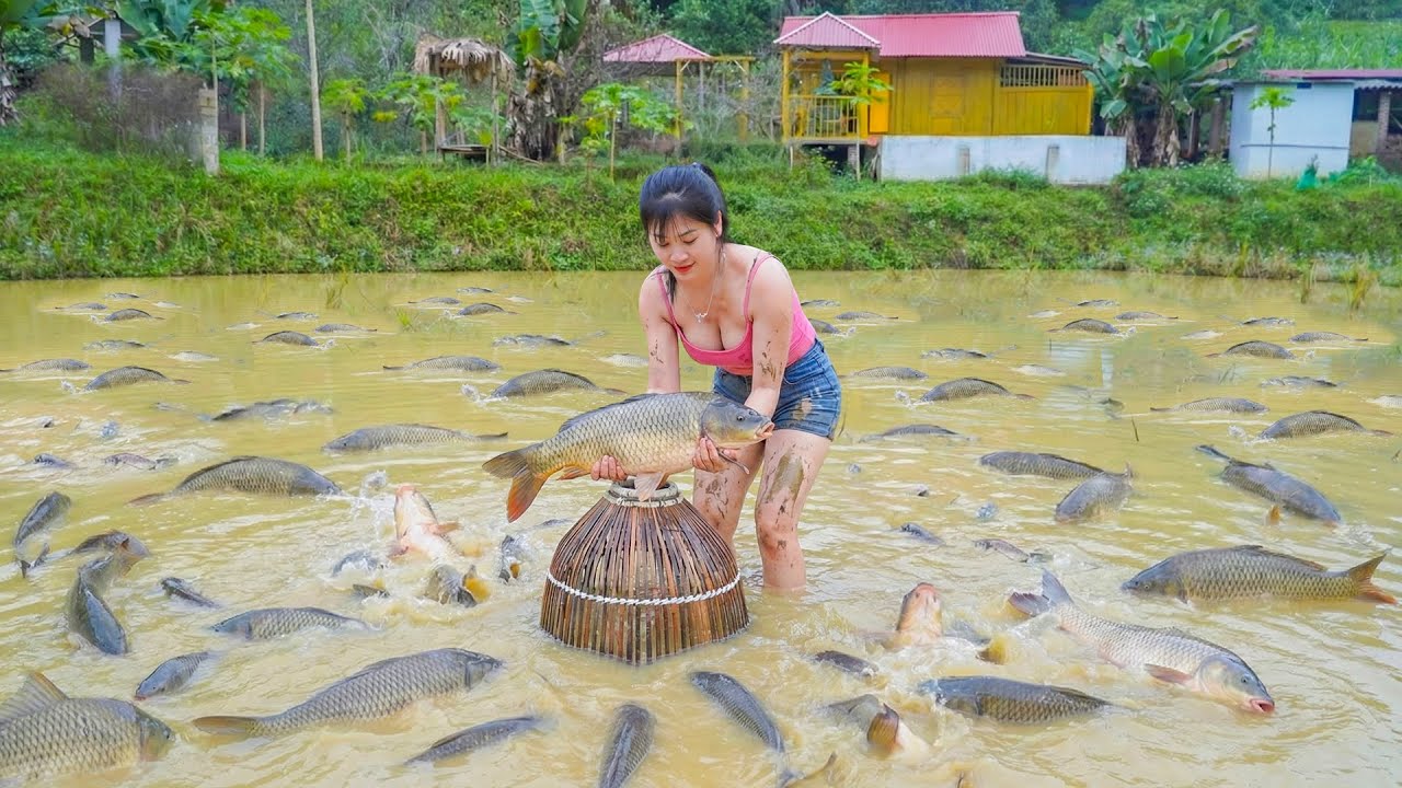 A Hen Incubates Eggs Hatches Chicks -- Catching Lots Of Fish Go To Country Market Sell