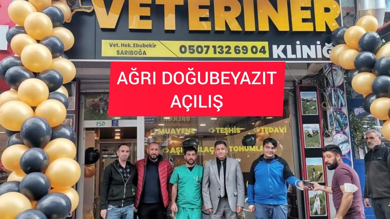 iletişim +90 507 132 69 04 ağrı Doğubayazıt vetener Ebubekir Sarıboğa kendi koyun inek kontrulu yapı