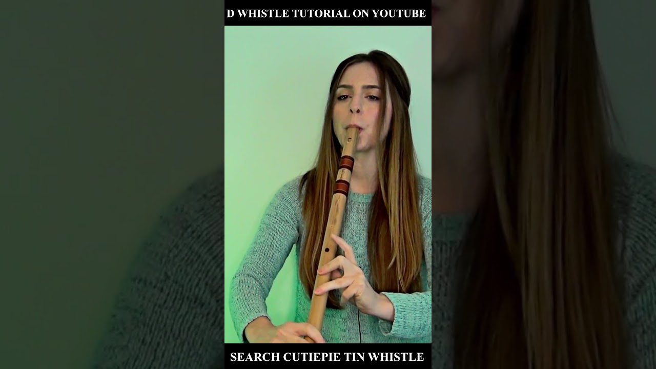 ICH HATT EINEN KAMERADEN - GERMAN MILITARY FUNERAL SONG - TIN WHISTLE TUTORIAL