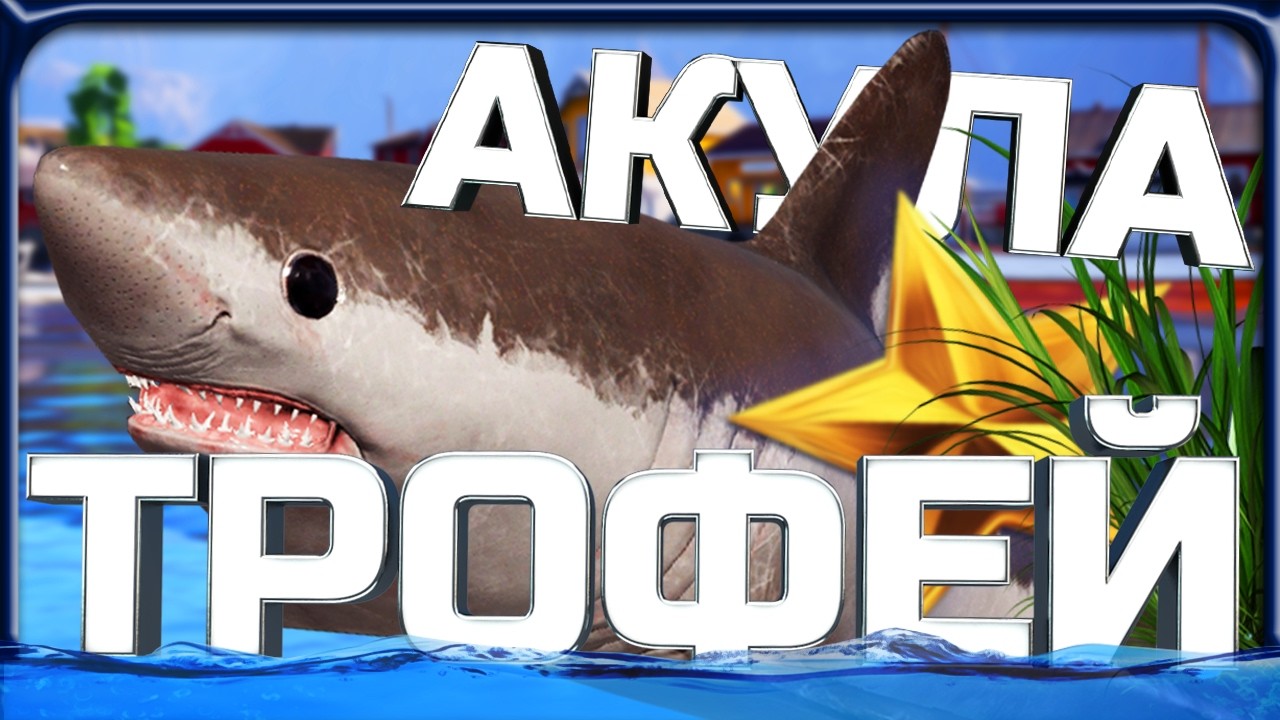 ТРОФЕЙНАЯ АКУЛА СЕЛЬДЕВАЯ и ЛУЧШИЕ ТРОФЕИ за НЕДЕЛЮ в РР4!