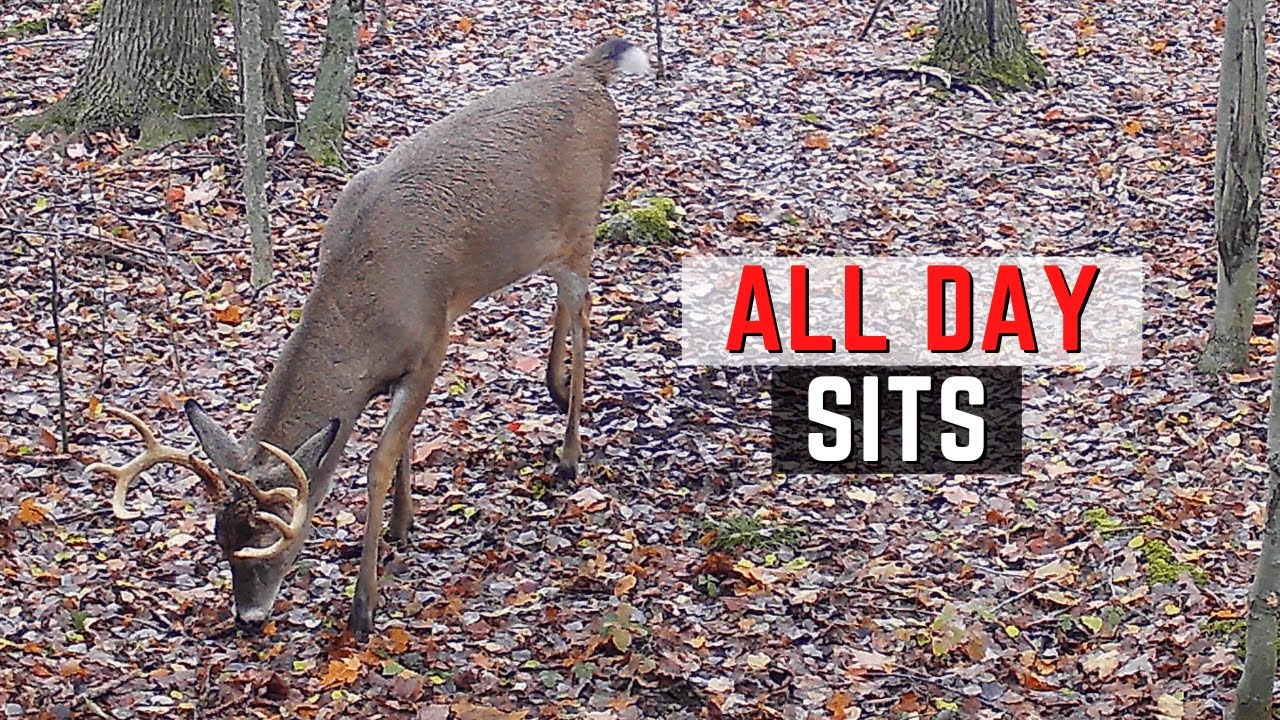 Hunting Strategies For All Day Sits