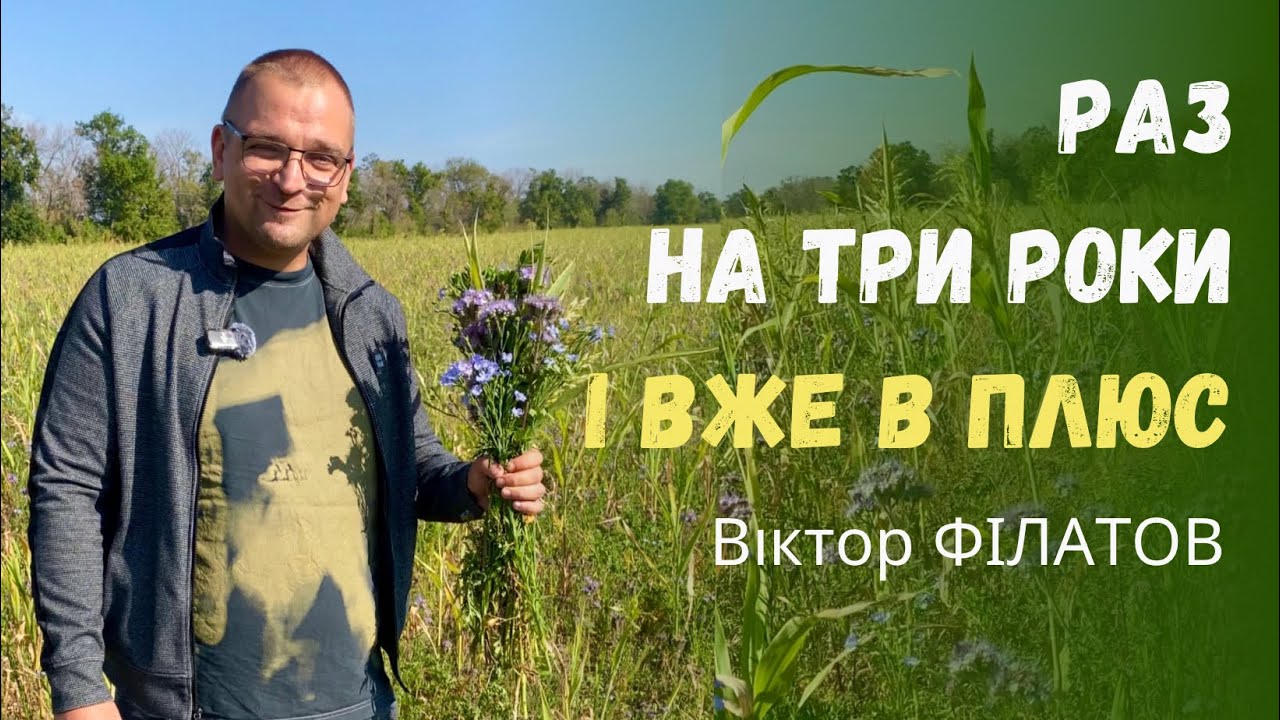 Як порахувати вигоду від покривних культур - проста формула від практика