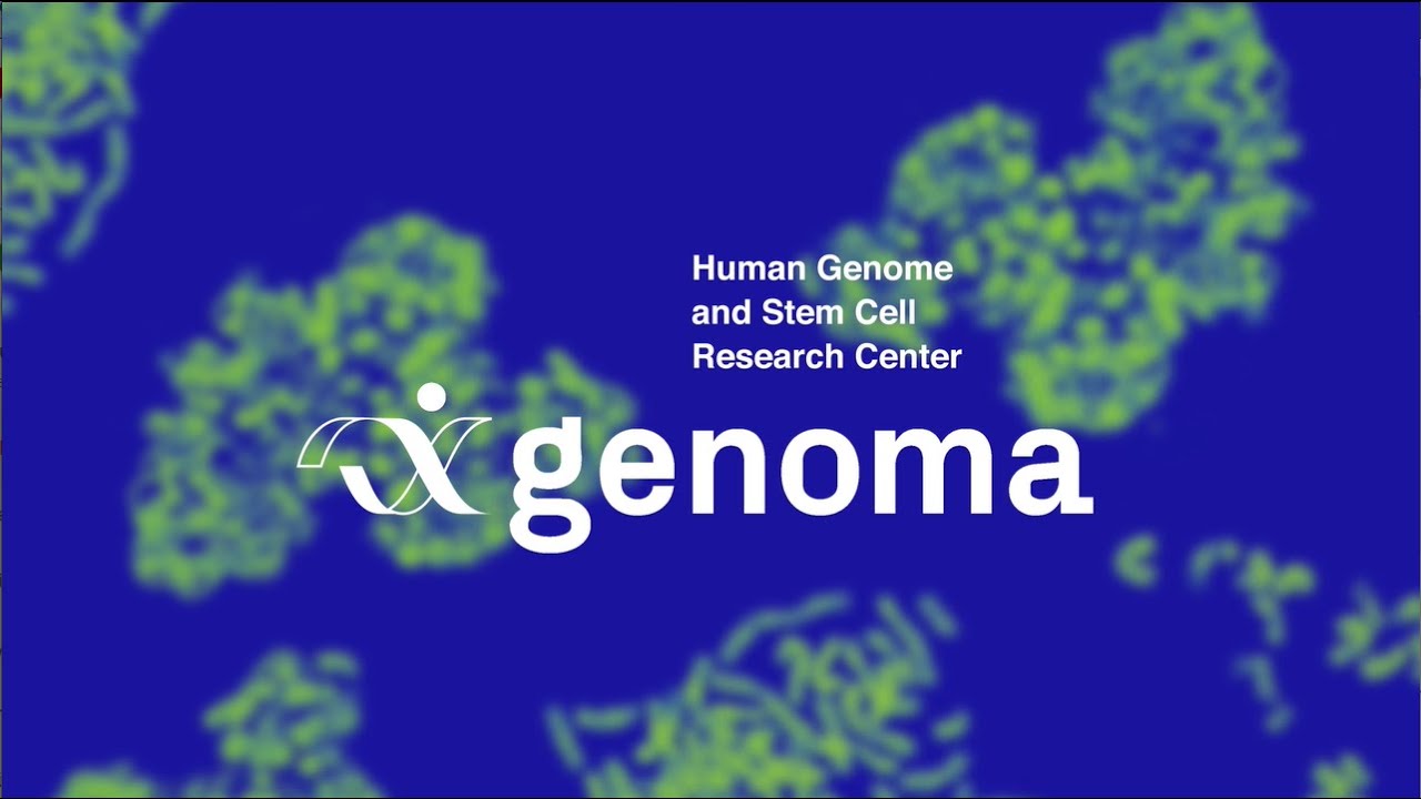 Welcome to the Human Genome and Stem Cell Research Center