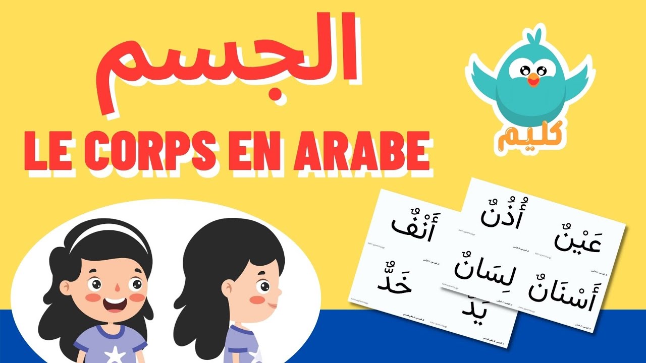 Le corps humain هذا جسمي