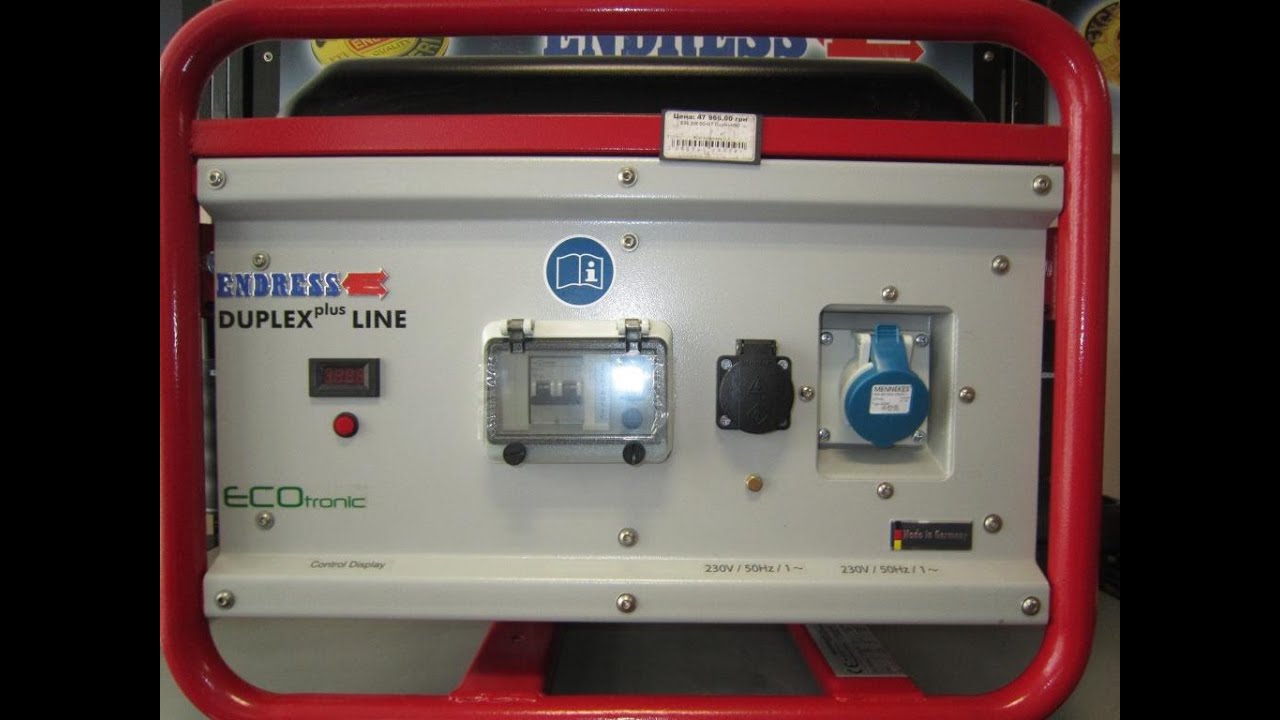 Бензиновый генератор Endress (Эндресс) ESE 306 Duplex Plus Line (Ecotronic)