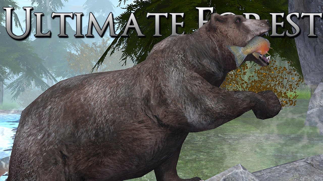 Feeding a Hungry Mother Bear!! • Ultimate Forest Simulator