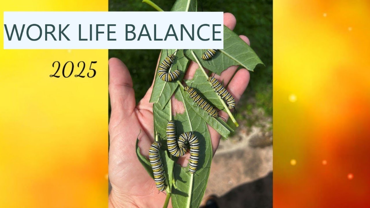 Butterfly Update 2025 (work life balance)