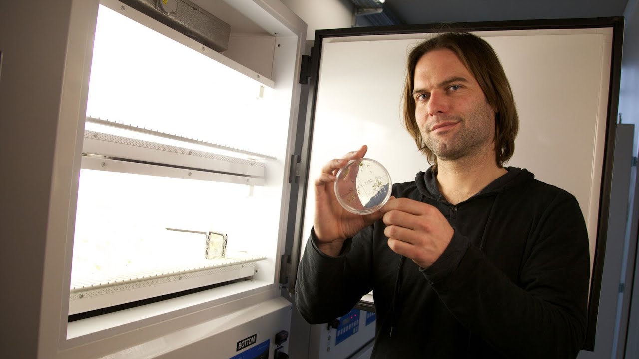 A la racine des v&eacute;g&eacute;taux - EURESEARCH/UNIL