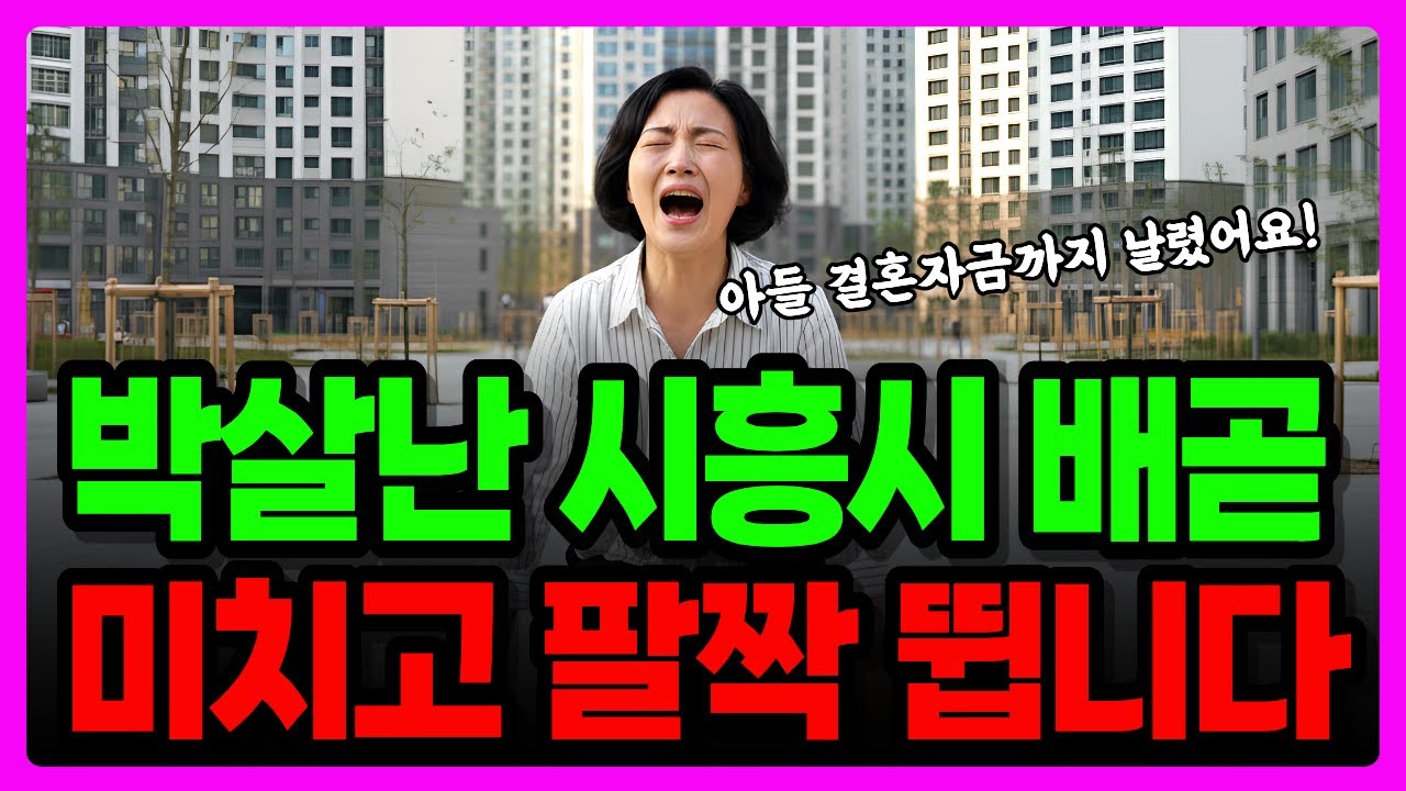 오도 가도 못하는 위기의 시흥시. 집주인 피눈물. 지옥으로 변해버린 시흥의 몰락 │노후자금사연│오디오북│인생사연
