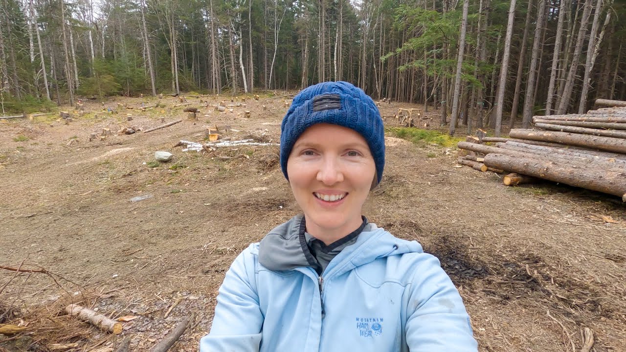 House site CLEARED!