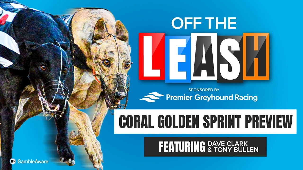 Coral Golden Sprint Preview | Off The Leash | Greyhound Tips | Racing Post