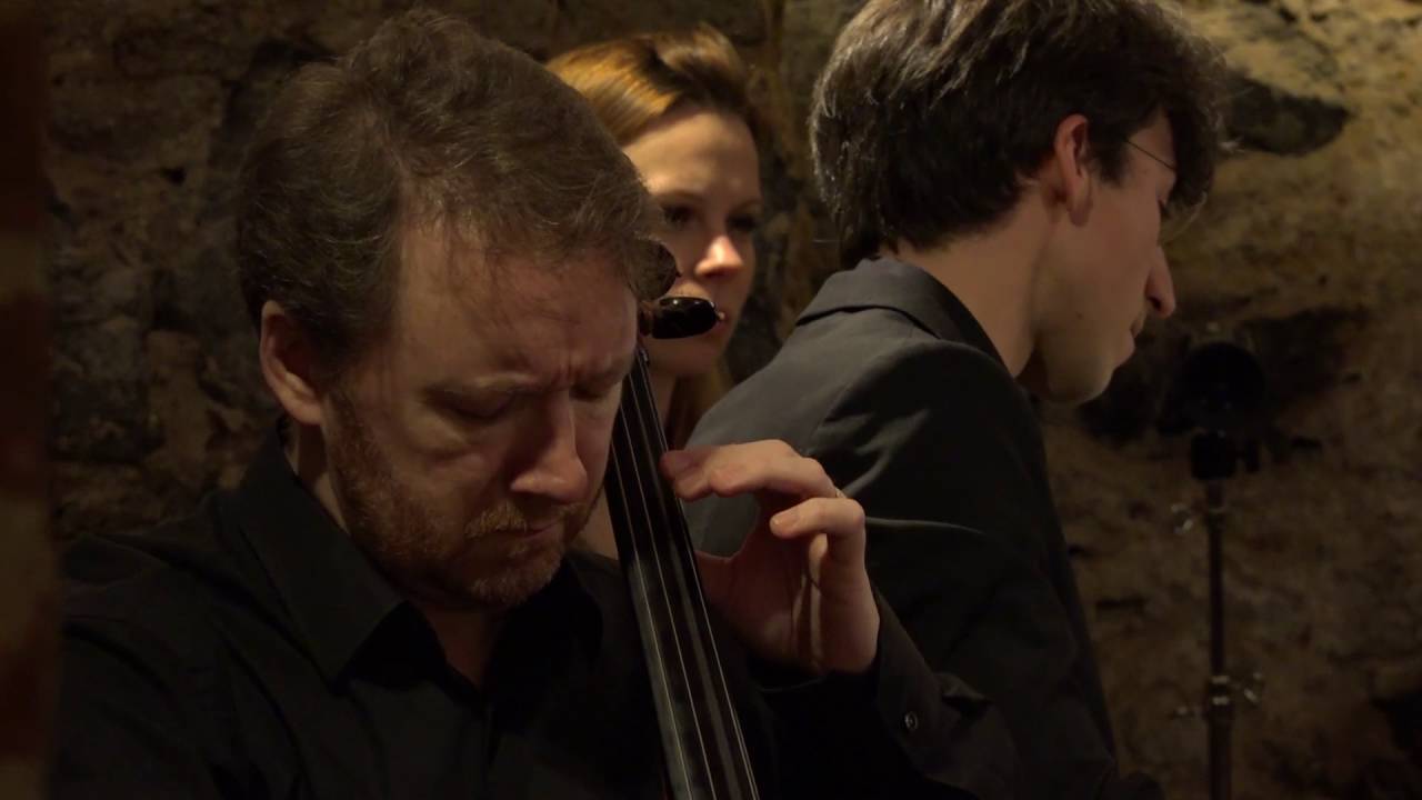 Ralph Vaughan Williams: Six Studies in English Folk Song - Oren Shevlin, Nicholas Rimmer