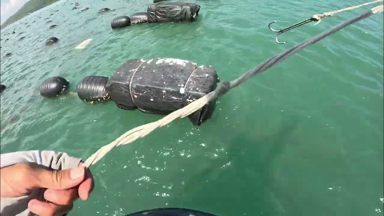 Chuyến câu ikada Cẩm Phả va nhiều hàng khủng