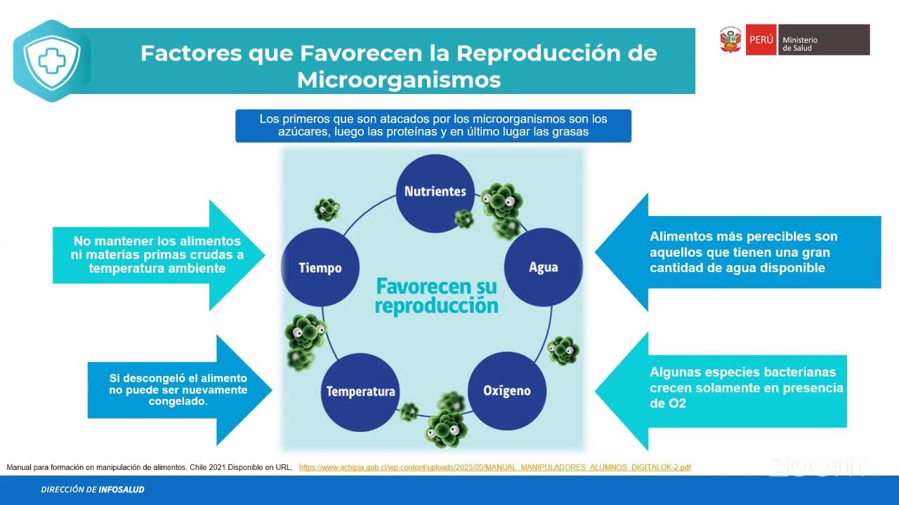 IMPORTANCIA DE LA INOCUIDAD ALIMENTARIA PARA PREVENIR ENFERMEDADES