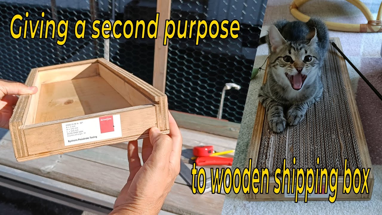 How to Build a DIY Cardboard Cat Scratcher