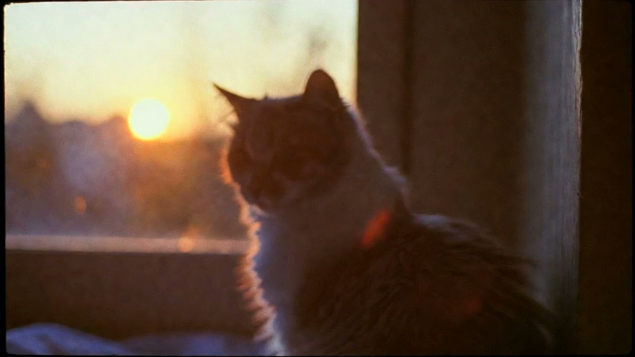 Light Through The Window