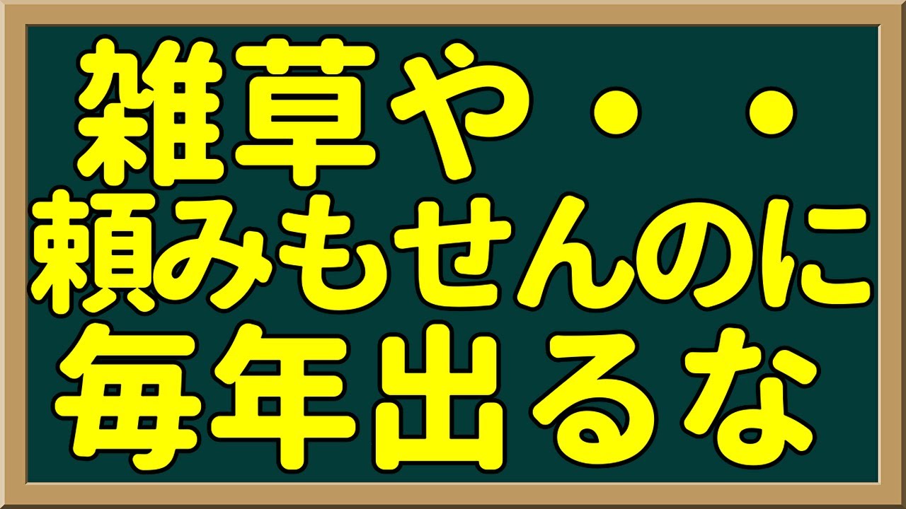 元気で仕事が出来る、ただそれだけでいい。