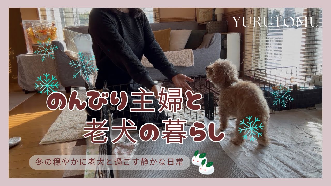 【50代主婦の暮らし】老犬ぺこの3点ケアで動物病院へ｜忙しい日のお家昼うどん｜冬の穏やかな公園散歩