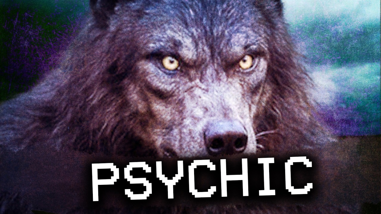 Exposing Unknown Dogman Secrets From 4chan