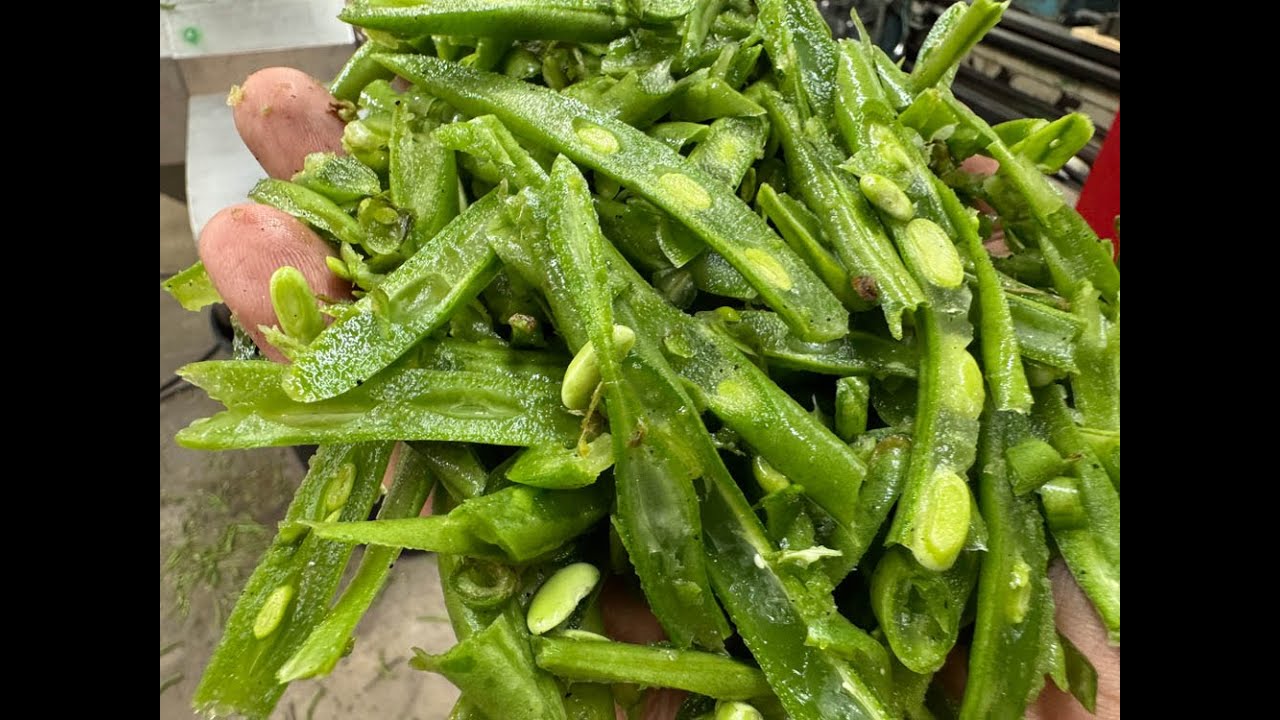 Urschel Model W French Style Green Bean Cutter