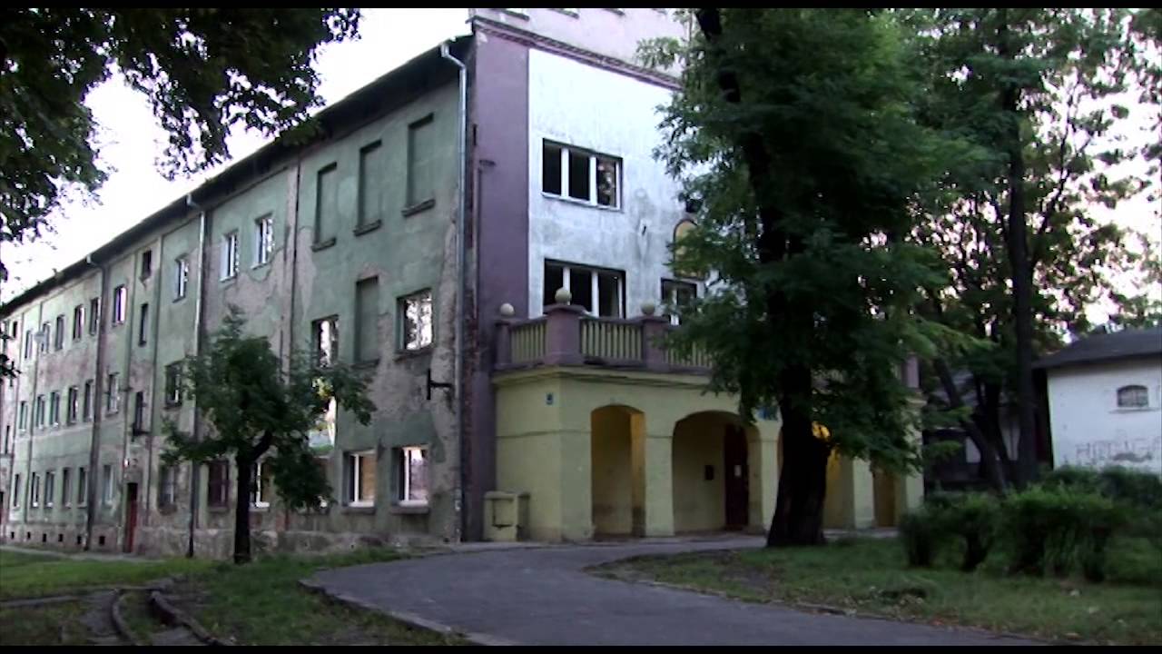Bedzin: A Small Town Near Auschwitz