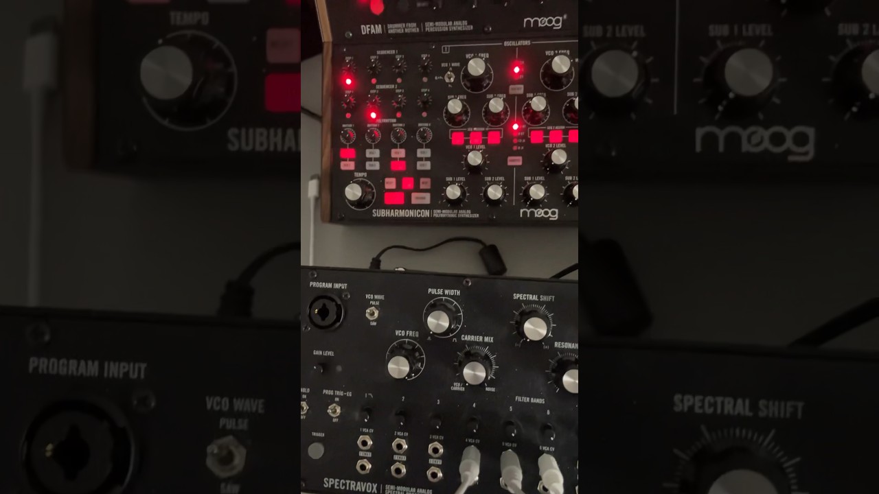 Rd9 Moog Spectravox and Sub Harmonicon. #moog #semimodular #behringer #synthjam