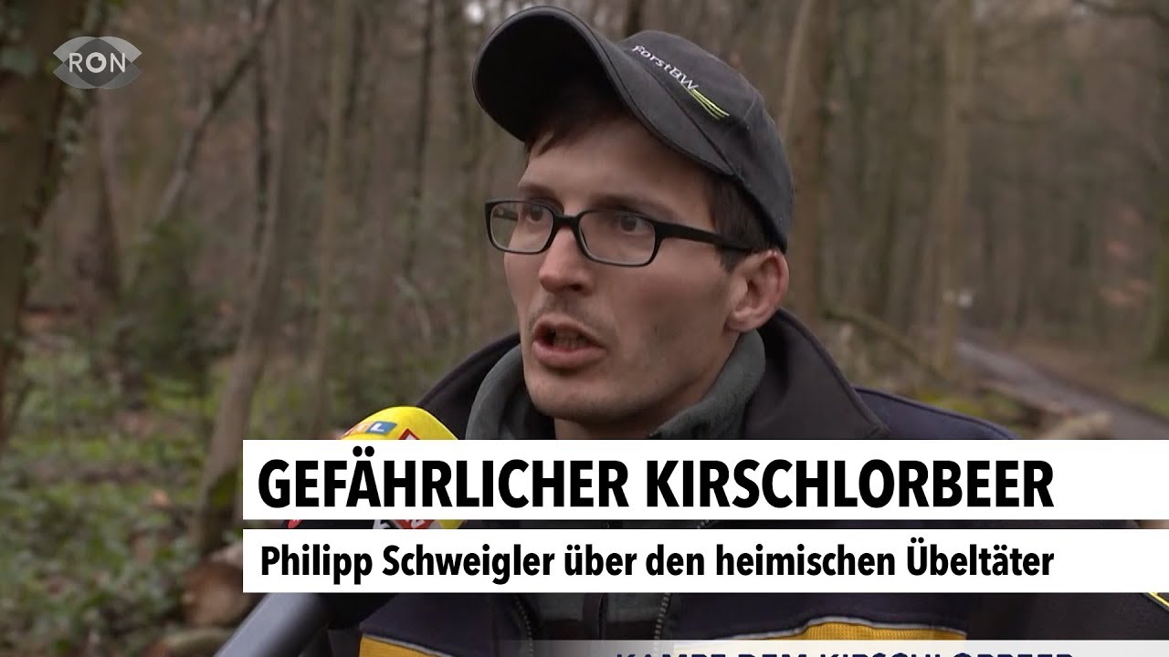 Gefährlicher Kirschlorbeer | RON TV |