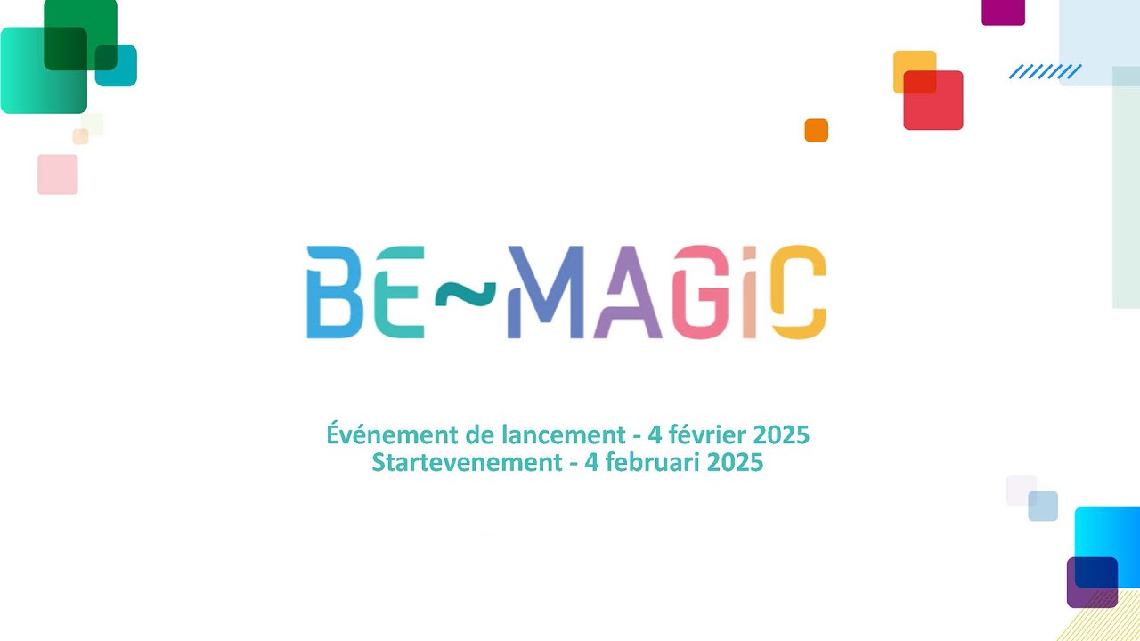 BE-MAGIC - “Sectorale functieclassificatiesystemen na de richtlijn beloningstransparantie” - Deel 1
