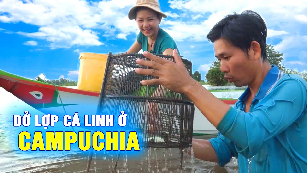🔴 Cùng GIÓ LÀNG QUÊ Qua Campuchia Dở Lợp Cá Linh Mùa Nước Nổi | Cẩm Hằng
