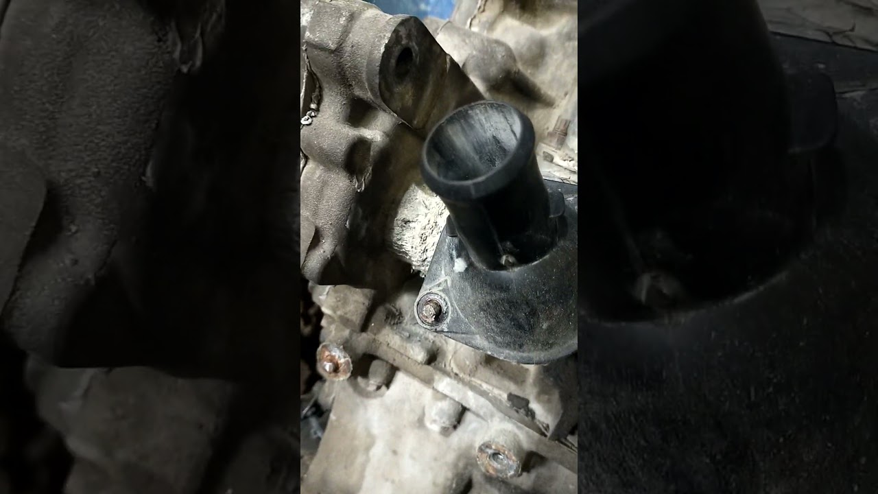 probox owners must watch this video