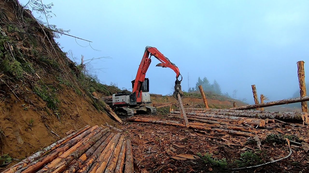 Logging Pacific Northwest Oregon 2025